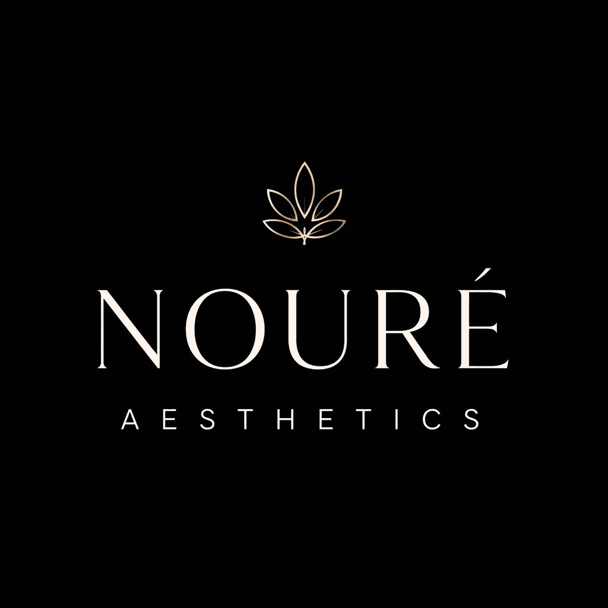 NOURE Logo