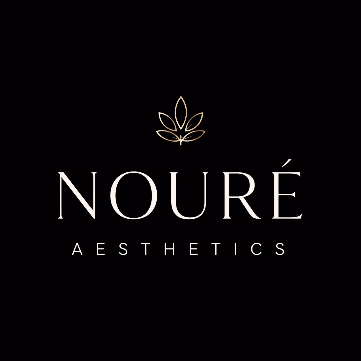 Noure logo